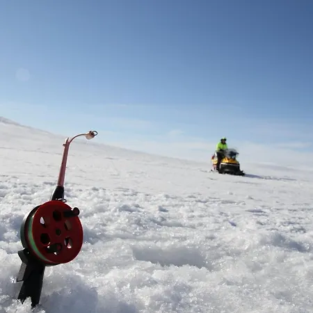 Villmark * Skoganvarre